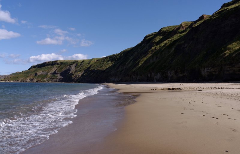 Best Dog Friendly Beaches Yorkshire