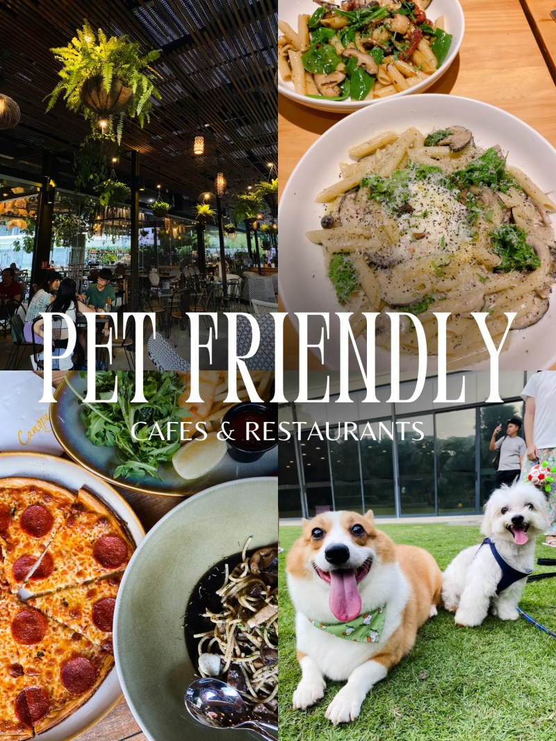 Best Dog Friendly Brunch Near Me