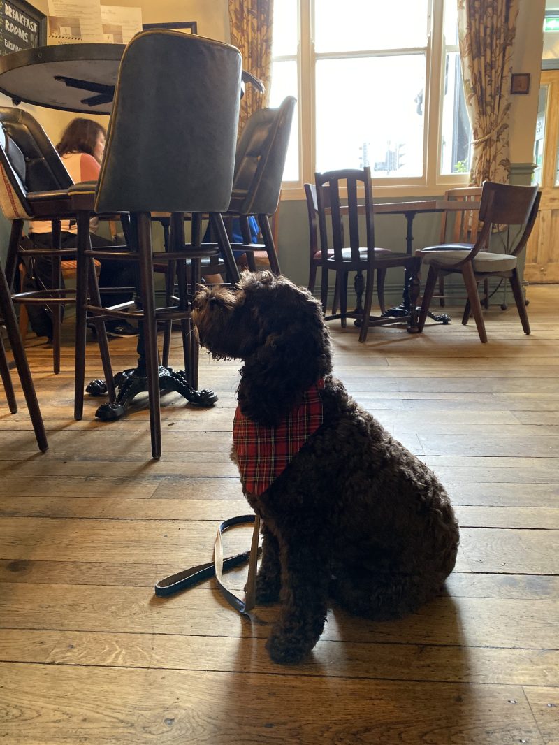 Best Dog Friendly Restaurants Edinburgh