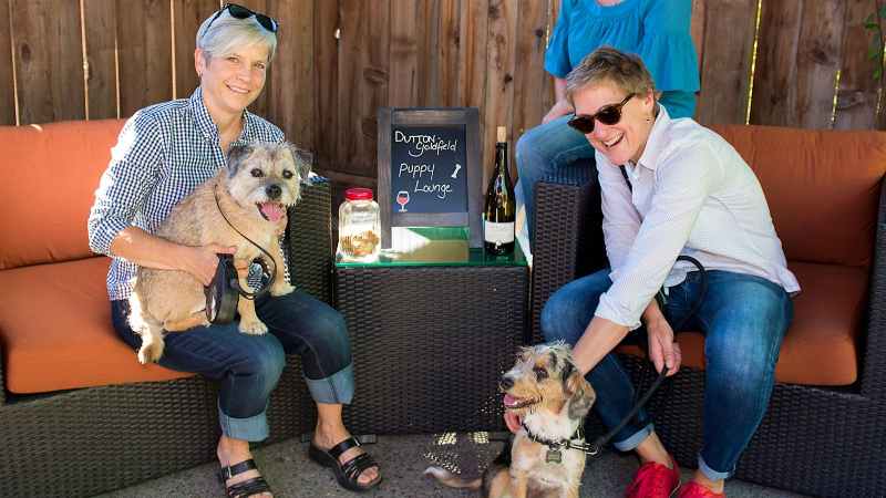 Best Dog Friendly Wineries Sonoma