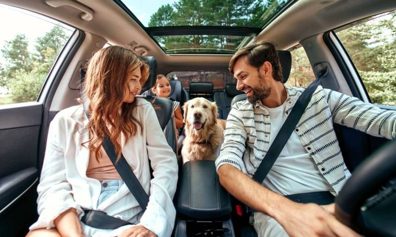 Best Pet Friendly Getaways Near Me