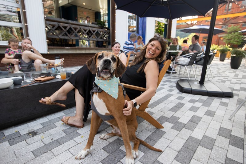 Dog Friendly Bars Near Me Now