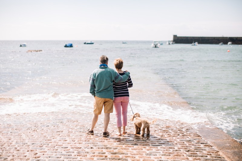 Dog Friendly Holidays Jersey