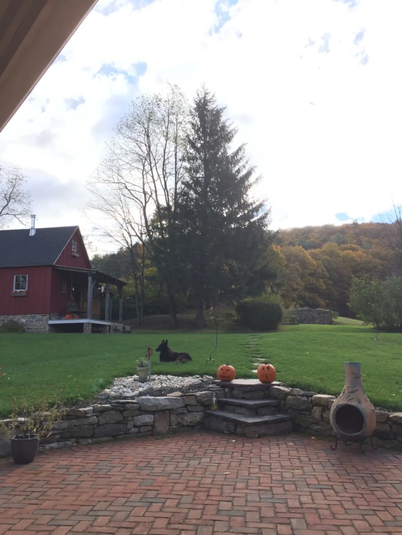 Dog Friendly Lodging Near Jim Thorpe Pa