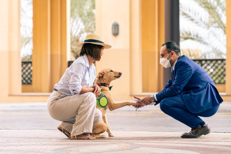 Dog Friendly Resorts Uae