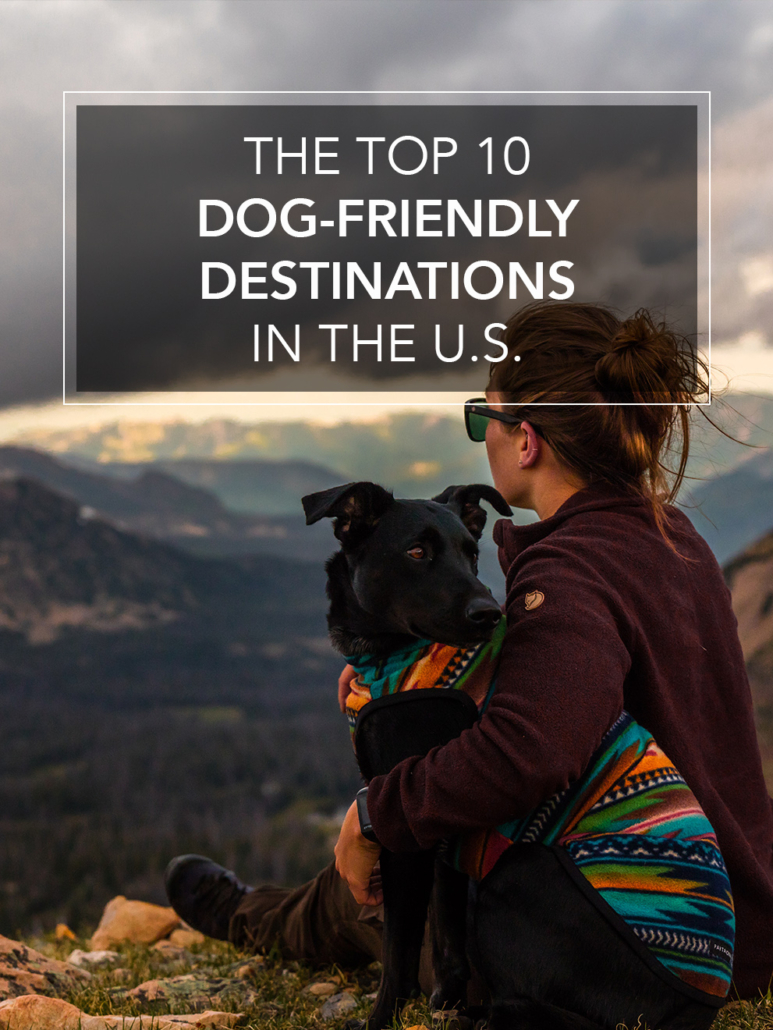 Dog Friendly Vacation Destinations