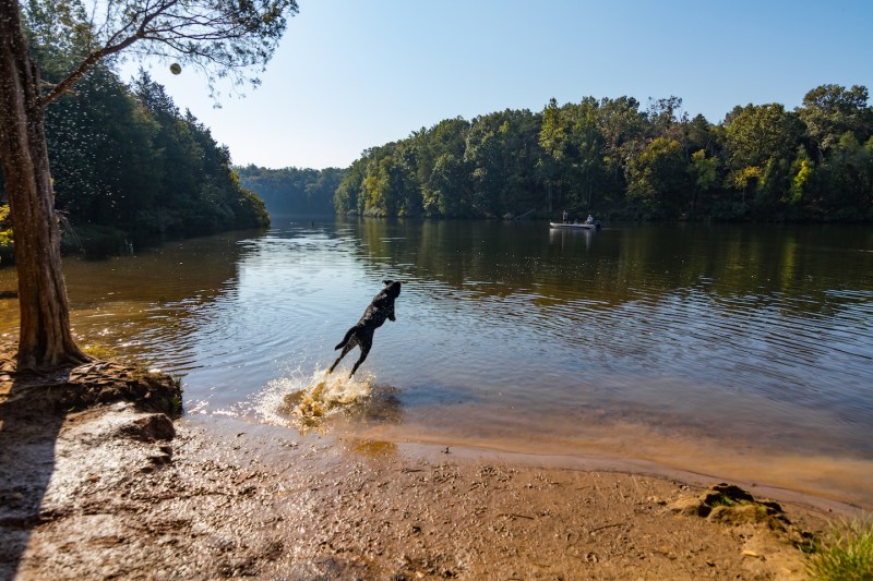 Dog Friendly Vacations Virginia