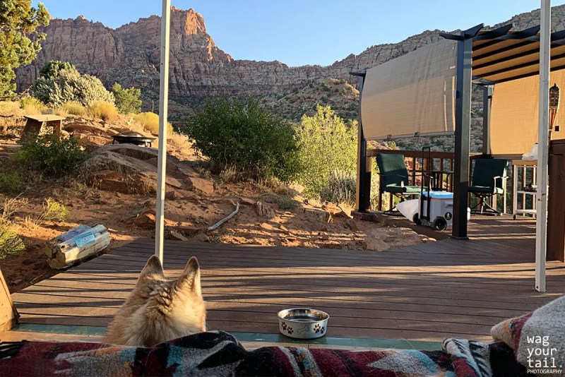 Pet Friendly Lodging Zion Ut