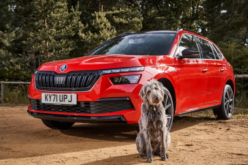 Best Dog Friendly Electric Cars