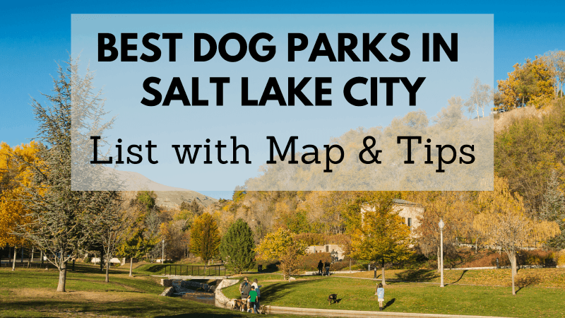 Best Dog Friendly Parks Near Me