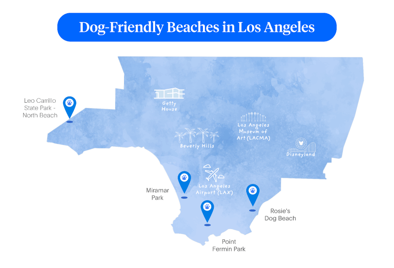 Dog Friendly Beaches Near Me Map