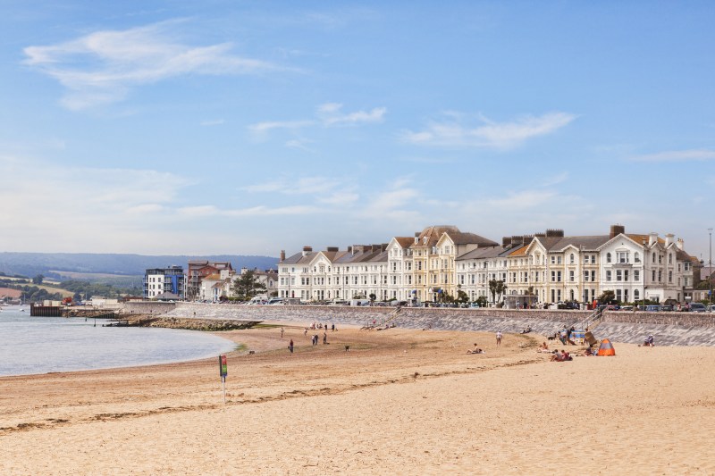 Dog Friendly Holidays Exmouth