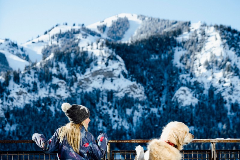 Dog Friendly Resorts Colorado